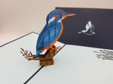 Kingfisher