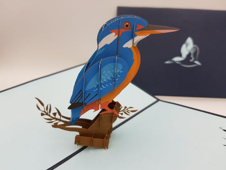 Kingfisher