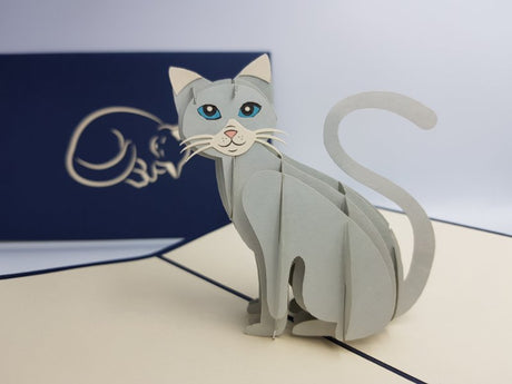 Pussy Cat (Grey)
