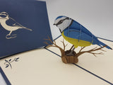 Big Bird Pop Up Card Bundle(10 pack)