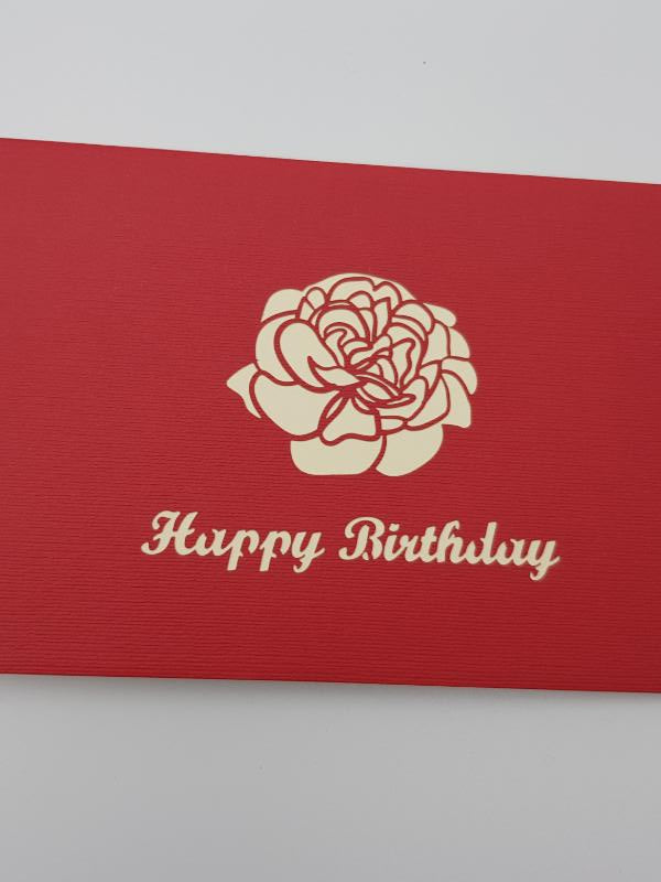 Birthday Carnations