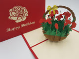Birthday Carnations