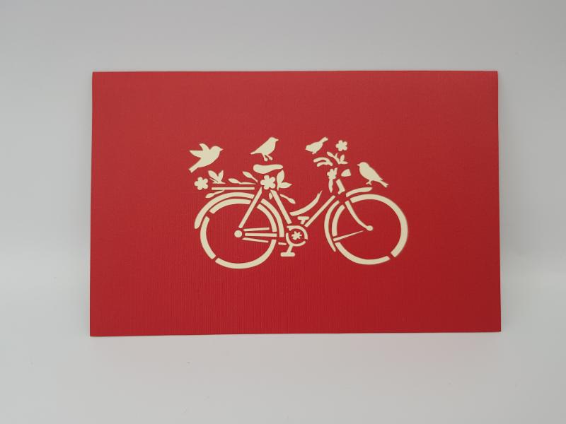 Little Birdie Bicycle