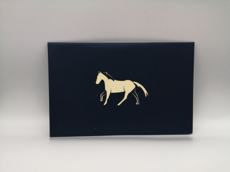 My lovely horse