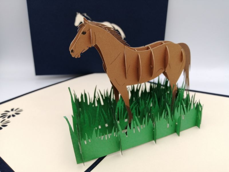 My lovely horse