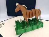 My lovely horse