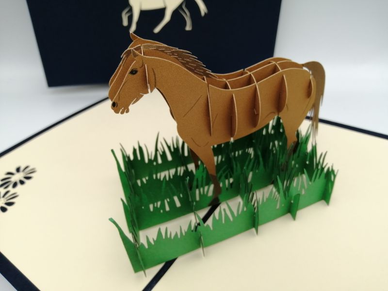 My lovely horse