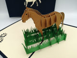 My lovely horse