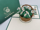 Birthday Daisy Basket
