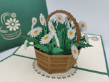 Daisy Basket