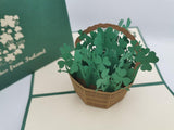 'Best wishes from Ireland' Basket