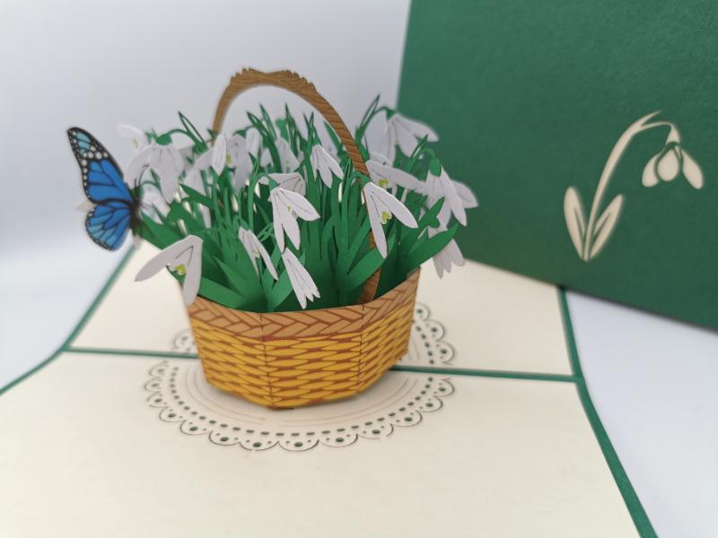 Snowdrops