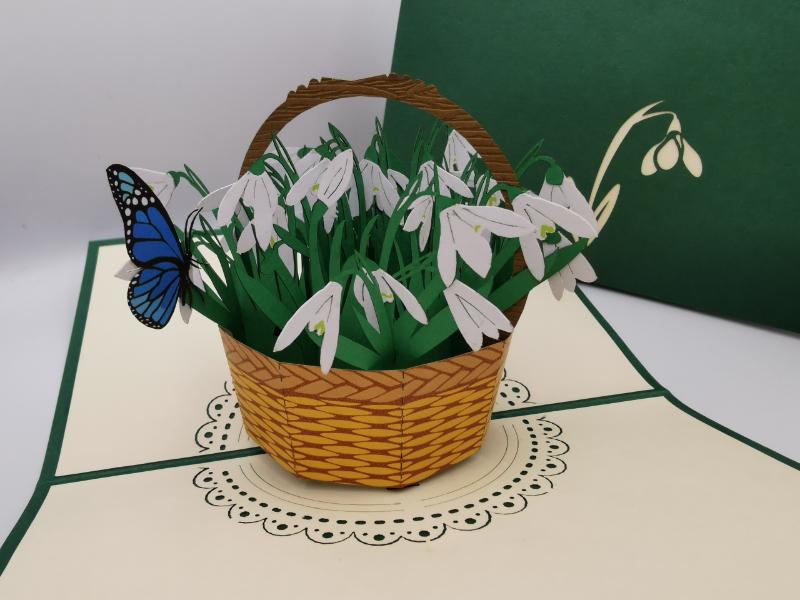 Snowdrops
