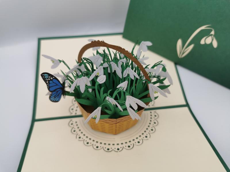 Snowdrops