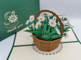 Big Floral Bundle (10 pack)