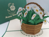 Retirement Daisy Basket