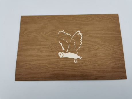 Barn Owl