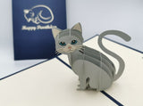 Birthday Cat