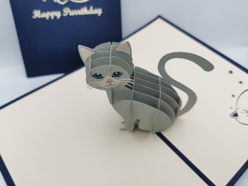 Birthday Cat