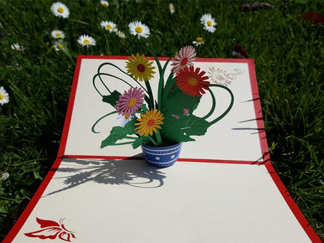 Gerbera Daisies